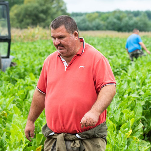 Juhász Attila