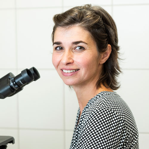 Irinyiné Dr. Oláh Katalin